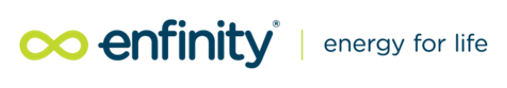 Enfinity Global logo